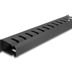 Delock Kabelmanagement Rangierpanel mit Bürste, 2 Oeffnungen, 1HE, schwarz